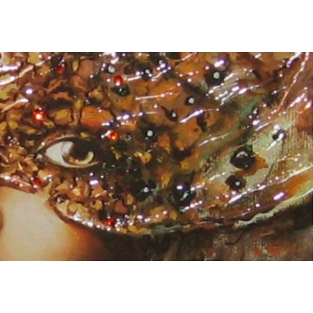 Liquid Art - Fashion and Romance Veiled Eyes II Detail
