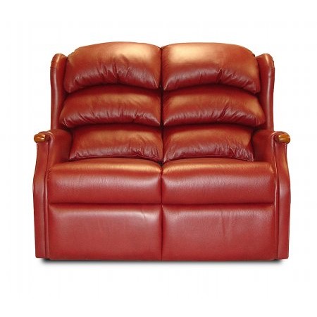 Celebrity - Westbury 2 Seater Sofa in Leather